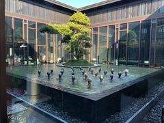 -上海崇明金茂凯悦酒店