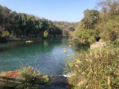 -花溪王记牛肉粉(四季花溪商场店)