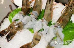 Deep-sea Wild Shrimp