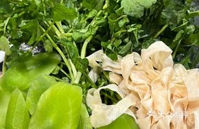 Vegetable Cold Dish All-You-Can-Eat