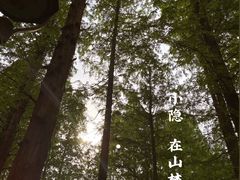 -西湖外事游船(湖滨二公园外事游船码头)