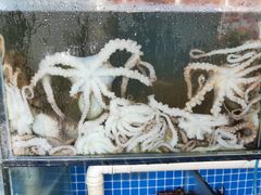 蒸汽八抓鱼-蟹谢蒸鲜自助餐厅