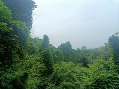 -吴山景区