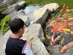 -青岛鑫江温德姆酒店