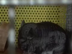 -上海大自然野生昆虫馆(东方明珠·爬宠昆虫探索中心)