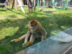 -西安秦岭野生动物园