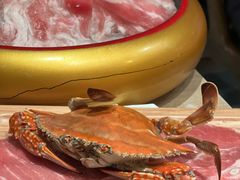 -星伦多自助料理(华润万象城店)