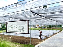 -Ohkajhu Organic Farm Sansai