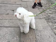 -寒香会社(平江路店)