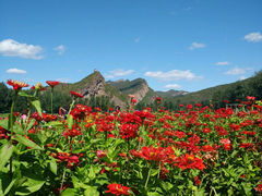 android_upload_pic-百里山水画廊乌龙峡谷