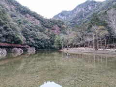 -龙湾潭国家森林公园