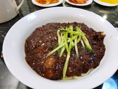 炸酱面-桃园中华料理炸酱面(燕儿岛路店)