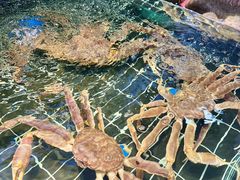 -好兄弟郭巨海鲜(天一阁店)