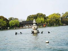 -西湖外事游船(花港观鱼码头)