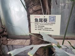-呀路古热带植物园