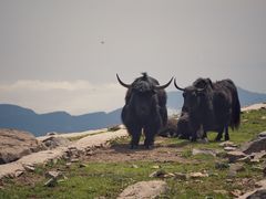 -灵山