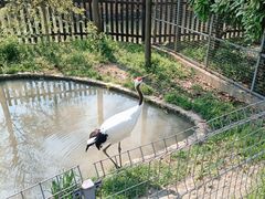 -上方山森林动物世界