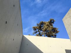 -老三羊汤【北兴隆街店】