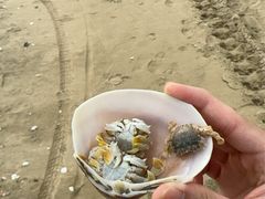 -中国第一滩