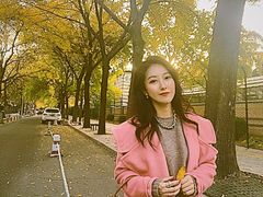 -三里屯东五街银杏大道