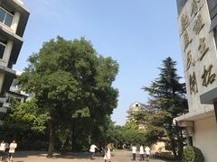 -北京四中(道元校区)