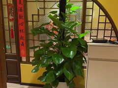 -西贝(六里桥旗舰店)