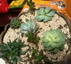 -伽玥瑜伽·普拉提馆