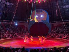 -俄罗斯国家大马戏团