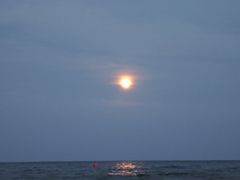 -第35届青岛国际啤酒节