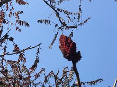 -沈阳辉山风景区