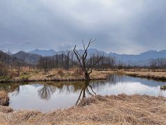 -神农架景区