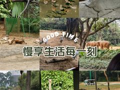 -广州长隆野生动物世界