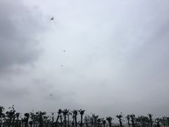 -瑶湖郊野森林公园