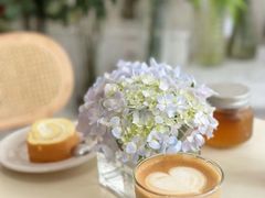 -Gigi Florist·Dk Coffee