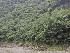 -虹口漂流