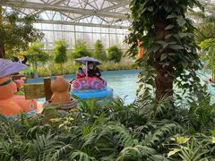 -南宫五洲植物乐园