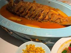 -阿五黄河大鲤鱼(纬三路店)