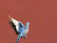 -大玩家超乐场(万达广场苏州吴中店)