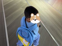 -菲司迪托育园(蛇口店)