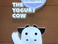 -一只酸奶牛(双流万达广场店)