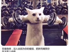 -威尔仕健身(新天地店)