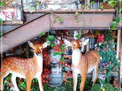 -山有花啡餐厅(常营总店)