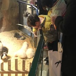 -酷嗒动物文化乐园(cutezoo西溪乐天城店)