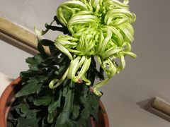 -汇龙潭