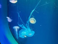 -广州海洋馆