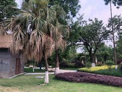 -成飞公园