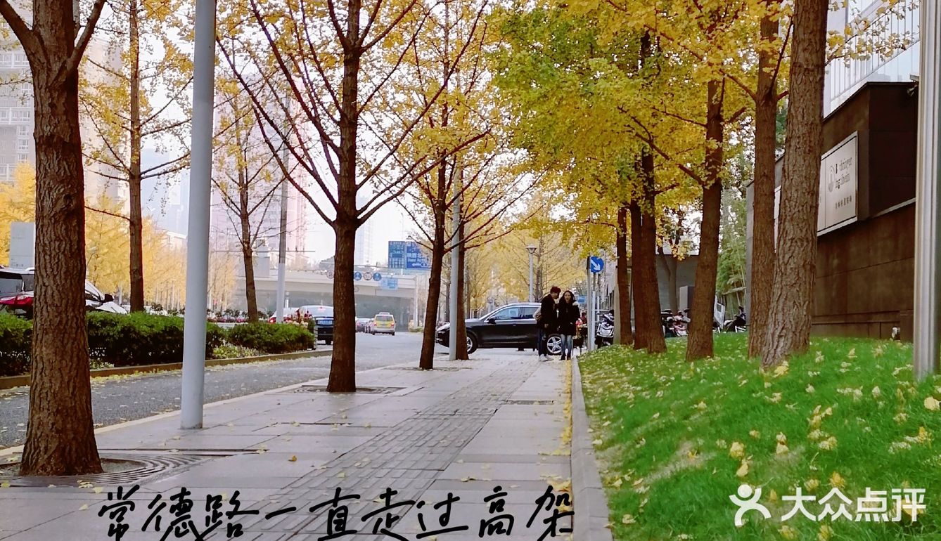 巨富长的泽田铜锣烧，是我后悔买少的念念不忘