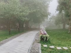 -庐山风景区花径公园
