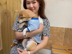 -猫色咖啡·猫咖