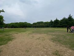 -青枫公园